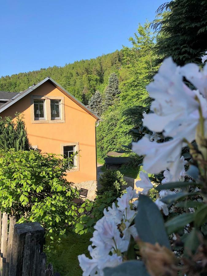 Fuchsbau Leilighet Königstein an der Elbe Eksteriør bilde